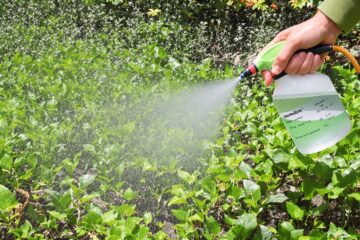 roundup pour 10 litres eau